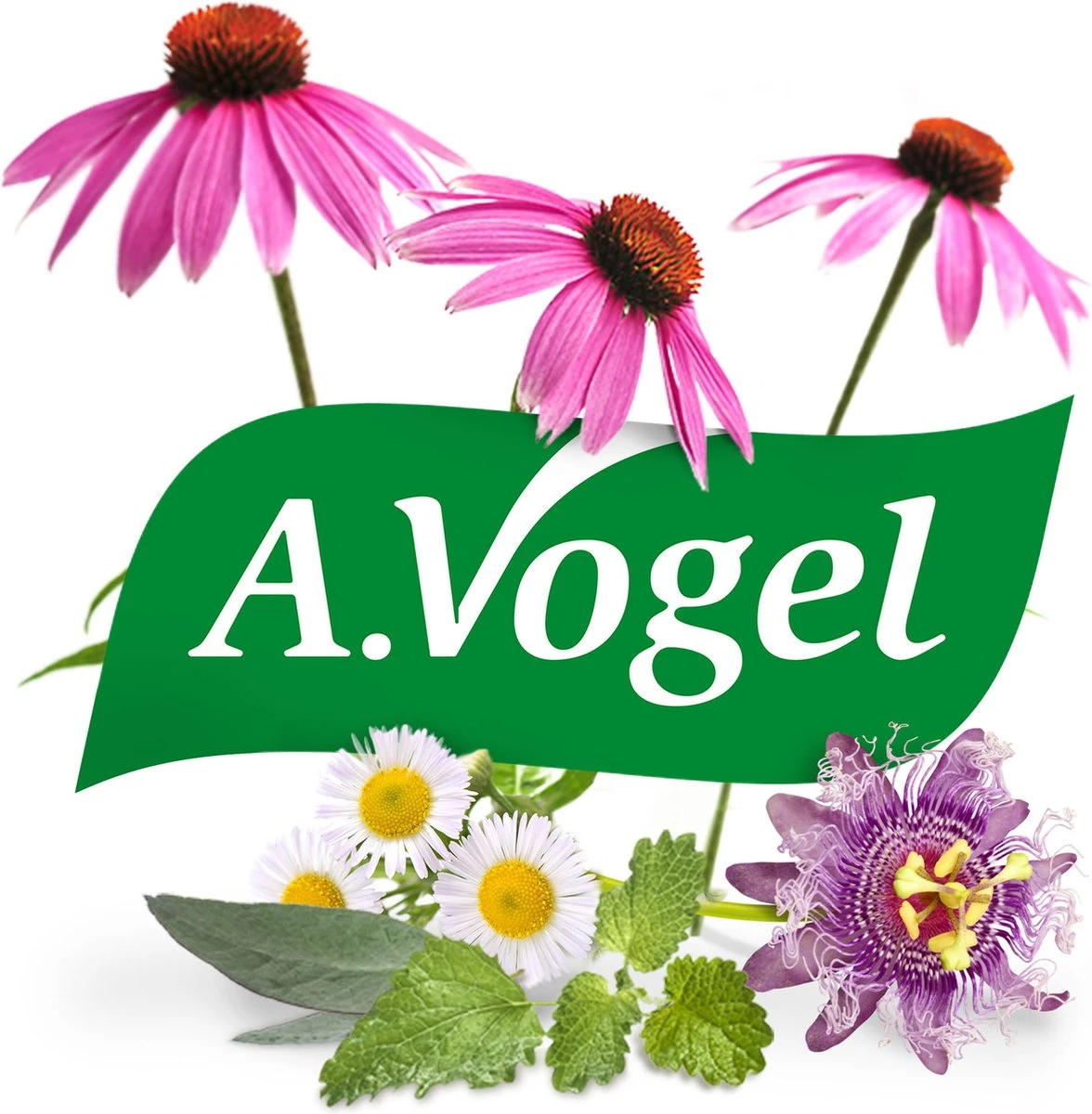 A.Vogel Arnica Vallen En Stoten Crème - Verzorgt De Blauwverkleurde Huid - 30 G 8 A.Vogel Arnica Vallen En Stoten Crème - Verzorgt De Blauwverkleurde Huid - 30 G - Afbeelding 8