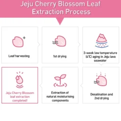 Innisfree Jeju Cherry Blossom Tone Up Cream 50 Ml -Zacht Huid Verkoop 1200x1178 1
