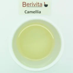 Camellia Olie Puur 50ml - Witte Japonica - Huidolie En Haarolie -Zacht Huid Verkoop 1200x1198 12