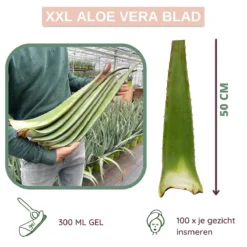 Dr. Green® 1x- Aloë Vera Blad - MAAK GEL IN 3 MINUTEN - 100% Puur - Biologisch -Zacht Huid Verkoop 1200x1200 1264