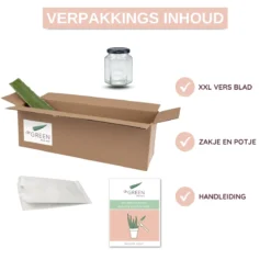 Dr. Green® 1x- Aloë Vera Blad - MAAK GEL IN 3 MINUTEN - 100% Puur - Biologisch -Zacht Huid Verkoop 1200x1200 1265