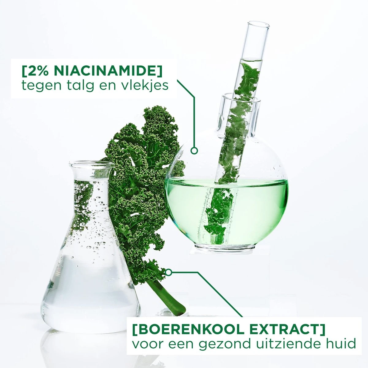 Garnier SkinActive Ampul Sheet Mask Met Boerenkool & Niacinamide - 5 Stuks 2 Garnier SkinActive Ampul Sheet Mask Met Boerenkool & Niacinamide - 5 Stuks - Afbeelding 2