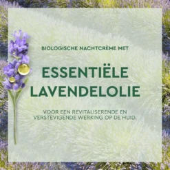 Garnier Skinactive Face Anti-Age Lavendel Nachtcrème - 50 Ml - Alle Huidtypes -Zacht Huid Verkoop 1200x1200 300