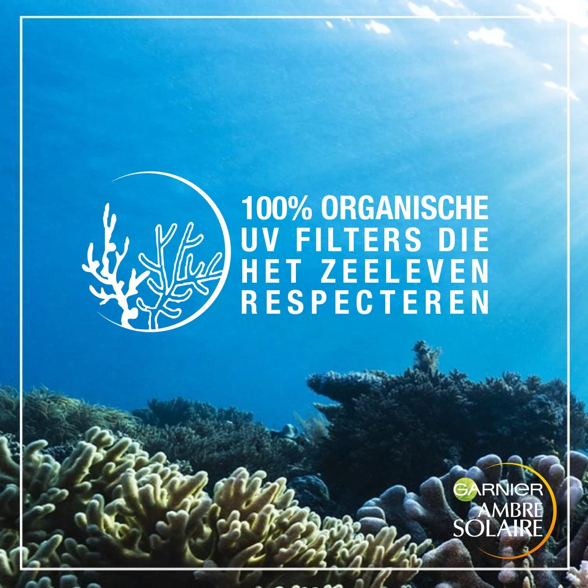 Garnier Ambre Solaire Aftersun Melk Reisformaat - 100 Ml 9 Garnier Ambre Solaire Aftersun Melk Reisformaat - 100 Ml - Afbeelding 9
