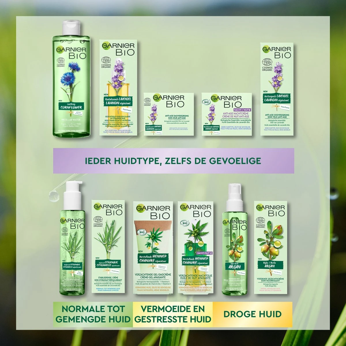 Garnier Bio Verzachtende Hennep Gel Dagcrème - 50 Ml 12 Garnier Bio Verzachtende Hennep Gel Dagcrème - 50 Ml - Afbeelding 12