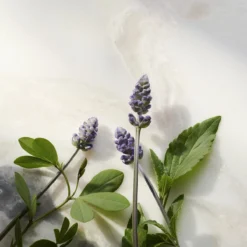 RITUALS The Ritual Of Namaste Glow Anti-Ageing Day Cream Refill - 50 Ml -Zacht Huid Verkoop 1200x1200 72