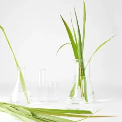 Garnier Bio Detox Reinigingsgel - Normale Tot Gemengde Huid - 150 Ml -Zacht Huid Verkoop 1200x1200 774