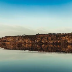 Australian Bodycare Body Treatment - 3 Producten Tegen Puistjes, Een Onzuivere Huid En Mee–eters Op De Rug En Billen Gebaseerd Op Tea Tree Olie - Bevat Douchegel En Peeling Om Je Huid Te Reinigen En Bodylotion Om Je Huid Te Hydrateren En Verzorgen 7 Australian Bodycare Body Treatment - 3 Producten Tegen Puistjes, Een Onzuivere Huid En Mee–eters Op De Rug En Billen Gebaseerd Op Tea Tree Olie - Bevat Douchegel En Peeling Om Je Huid Te Reinigen En Bodylotion Om Je Huid Te Hydrateren En Verzorgen -Zacht Huid Verkoop 1200x800 21