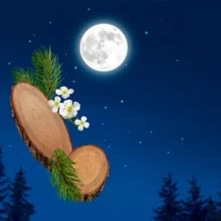 Kneipp Good Night - Body Lotion -Zacht Huid Verkoop 1200x809