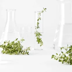 Garnier Bio Perfectionerende Toner Met Thijm - Voor Alle Huidtypen - 150ml 9 Garnier Bio Perfectionerende Toner Met Thijm - Voor Alle Huidtypen - 150ml -Zacht Huid Verkoop 1200x911