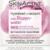 Garnier Skinactive Face Botanische Dagcrème Met Rozenwater - 2 X 50ml - Voordeelverpakking