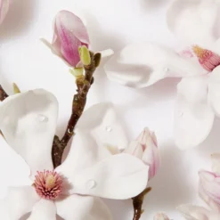 NIVEA Essentials Dagelijkse Reiniging - 150 Ml - Reinigingsscrub 9 NIVEA Essentials Dagelijkse Reiniging - 150 Ml - Reinigingsscrub -Zacht Huid Verkoop 800x1200 49