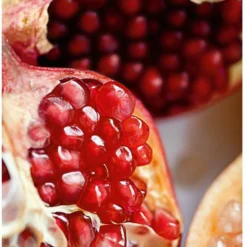 Weleda Granaatappel Verstevigende Nachtcrème -Zacht Huid Verkoop 824x1200